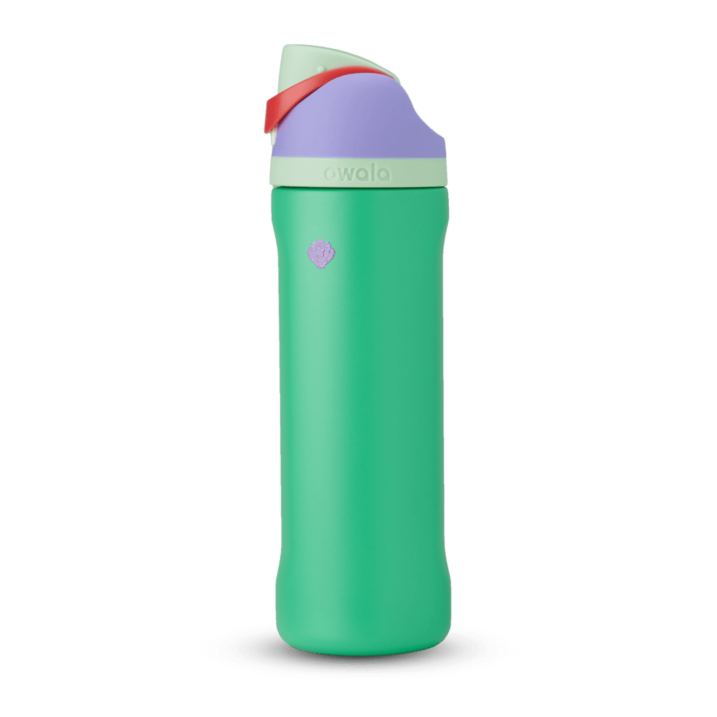 Disney Princess Collection Water Bottle GUTIM