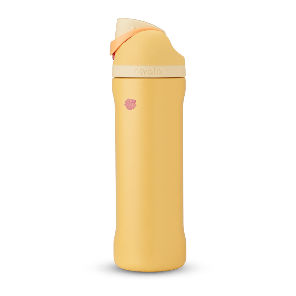 Disney Princess Collection Water Bottle GUTIM