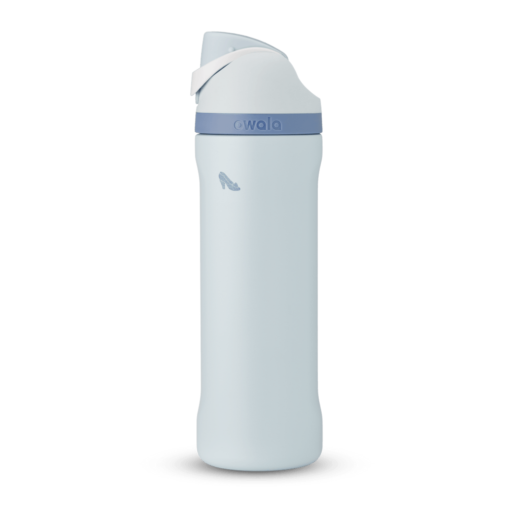Disney Princess Collection Water Bottle GUTIM