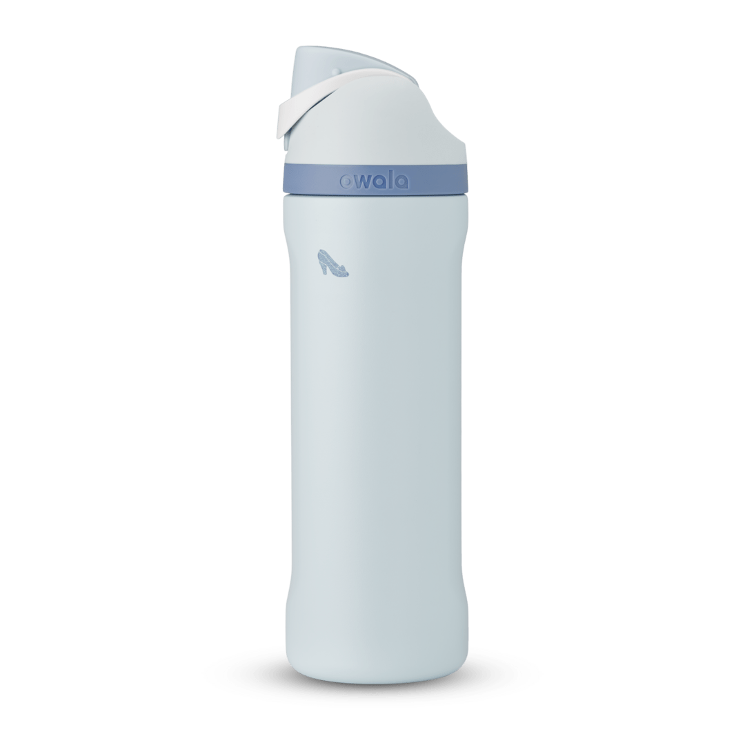 Disney Princess Collection Water Bottle GUTIM