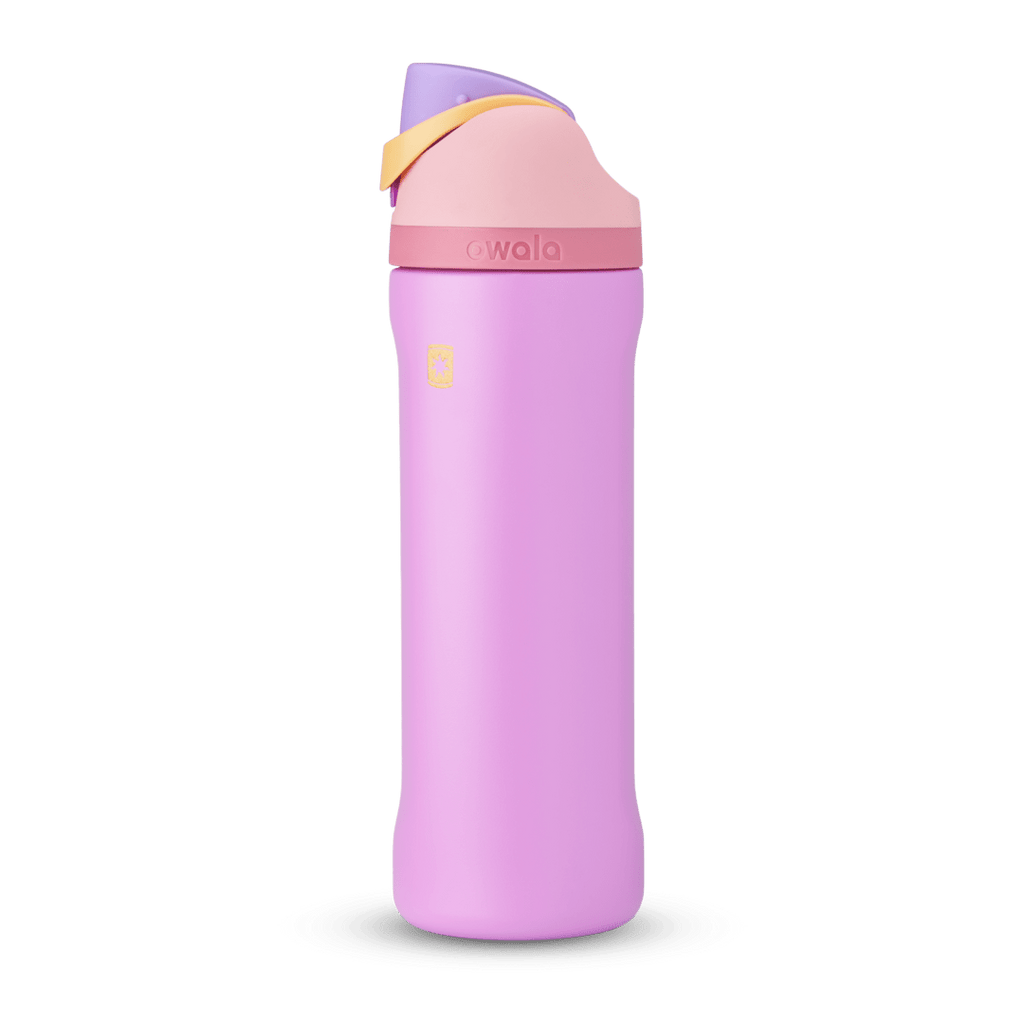 Disney Princess Collection Water Bottle GUTIM