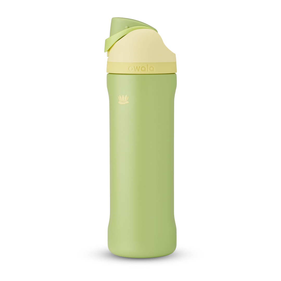 Disney Princess Collection Water Bottle GUTIM