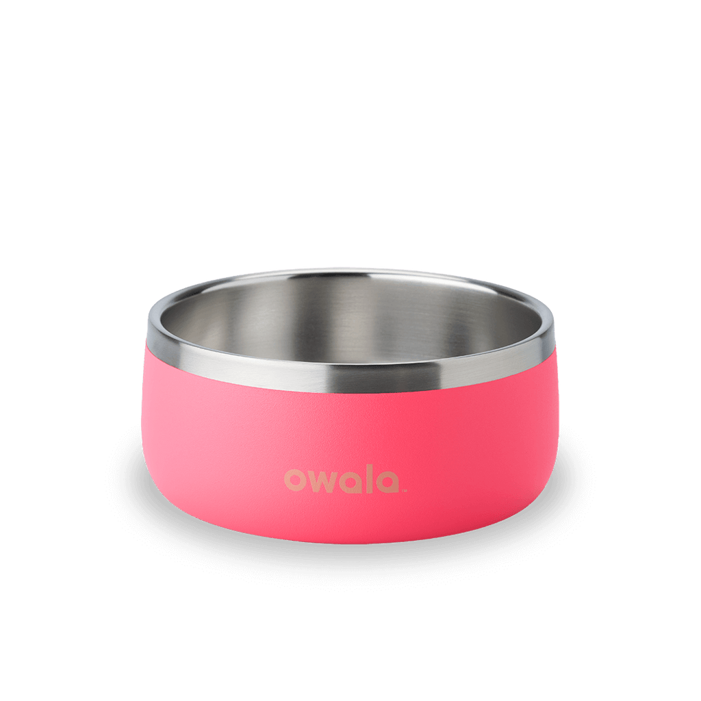 Pet Bowl Water Bottle F8N6Q