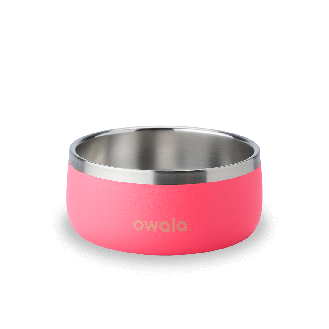 Pet Bowl Water Bottle F8N6Q
