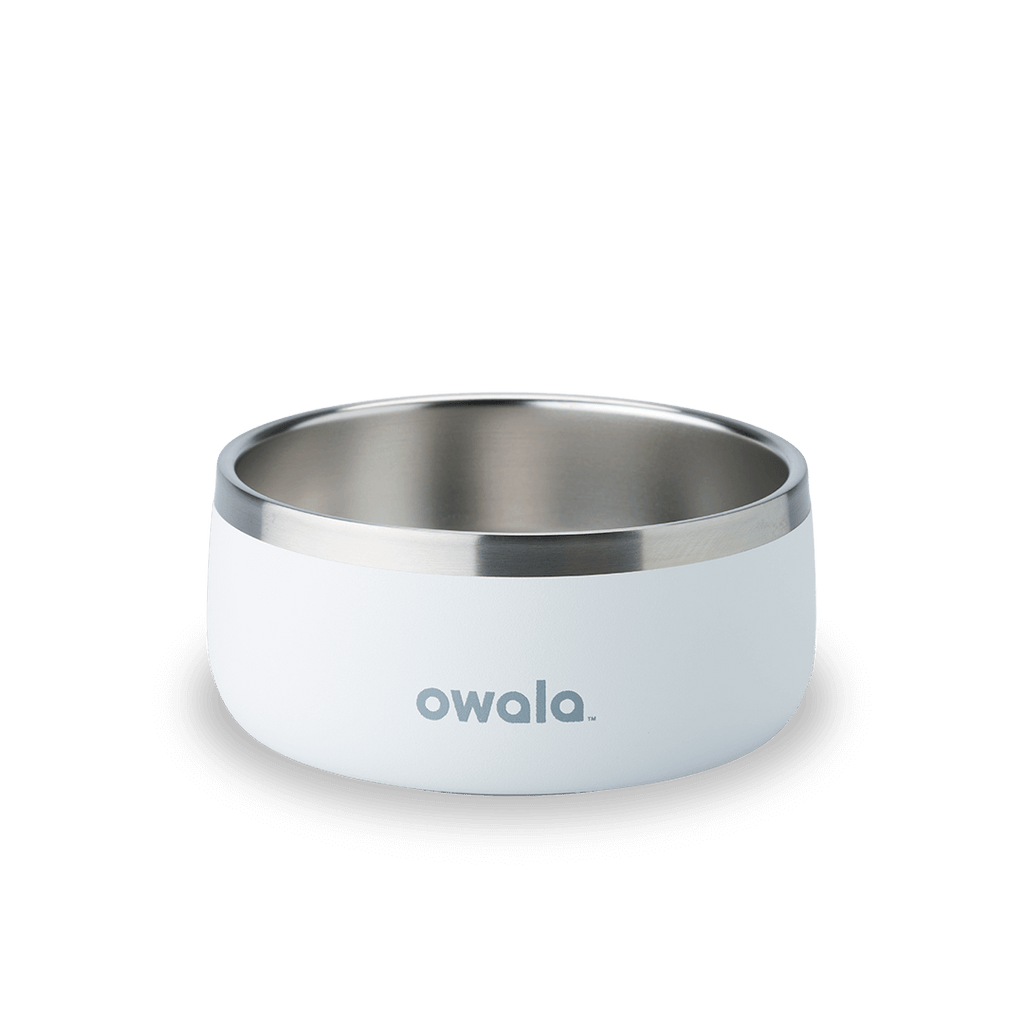 Pet Bowl Water Bottle F8N6Q