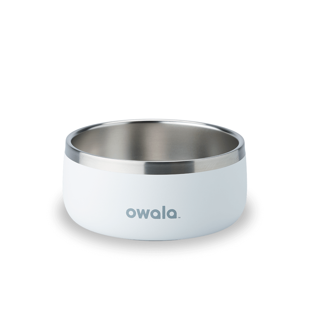 Pet Bowl Water Bottle F8N6Q