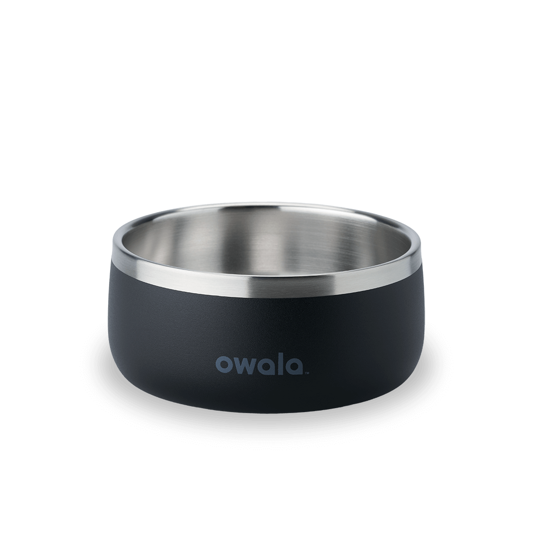 Pet Bowl Water Bottle F8N6Q