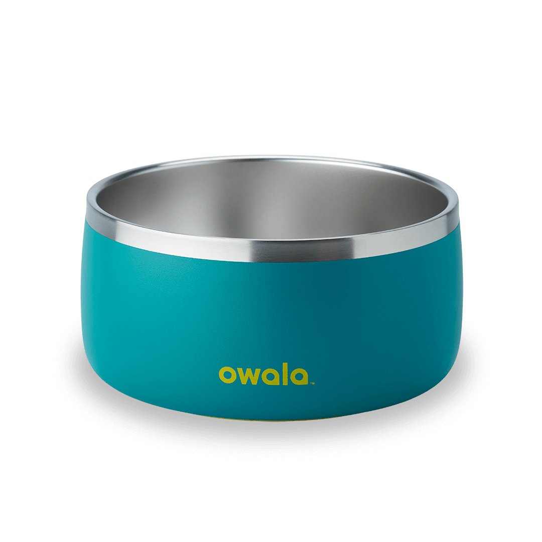 Pet Bowl Water Bottle F8N6Q